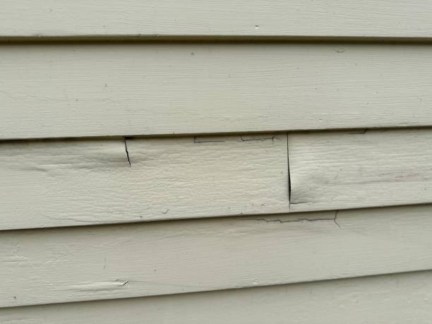 Best Shed Removal  in Granger, IN
